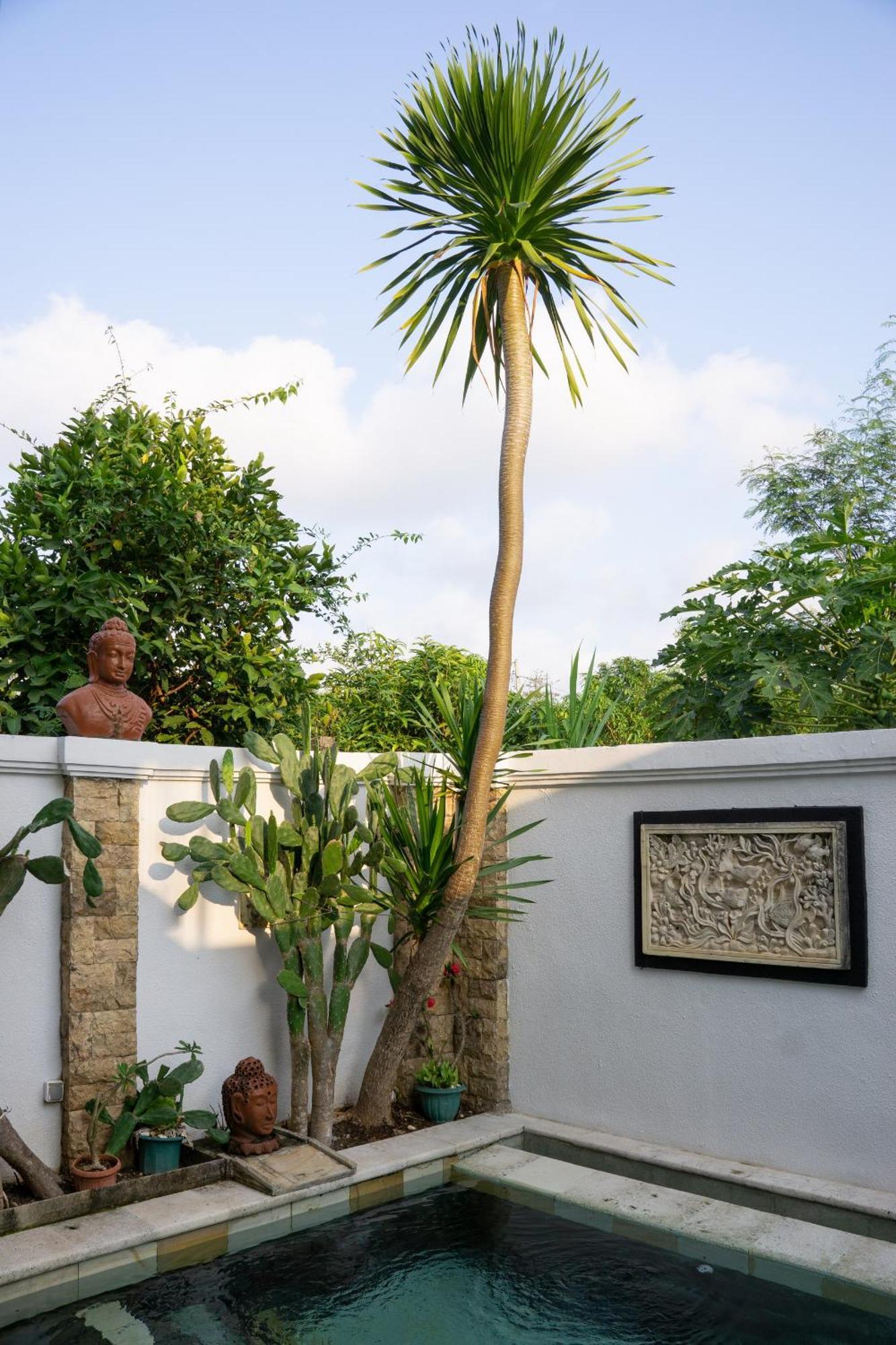 Hills House Villa By Sunnyrent - Jimbaran X Balangan X Gwk المظهر الخارجي الصورة