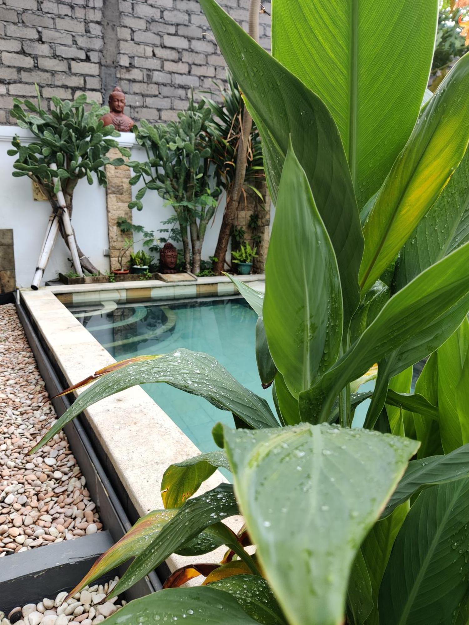 Hills House Villa By Sunnyrent - Jimbaran X Balangan X Gwk المظهر الخارجي الصورة